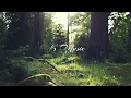 Villagers - Everything I Am Is Yours