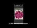 Batch Image Background Remover and Changer