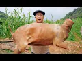 Download Lagu SAPA TV | KHÁNH THÀNH 2 NGÔI NHÀ MỚI TẠI MÈO VẠC CÙNG PHẠM DŨNG PHAN DIỄM NGUYỄN TẤT THẮNG
