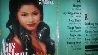 Download Lanang sejati MP3