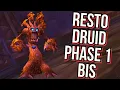 Resto Druid - Phase 1 BIS