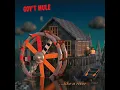Your Only Friend - Gov't Mule