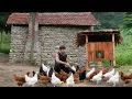Download Lagu “Leaving the City for the Forest: A Survival Chef's Journey” Triệu Long