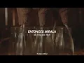 Rex Orange County - Amazing (Lyrics & Sub. Español)