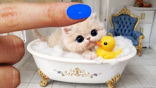 True Story about The Cat Raised by a Mouse. RESCUE the Smallest KITTEN in the World