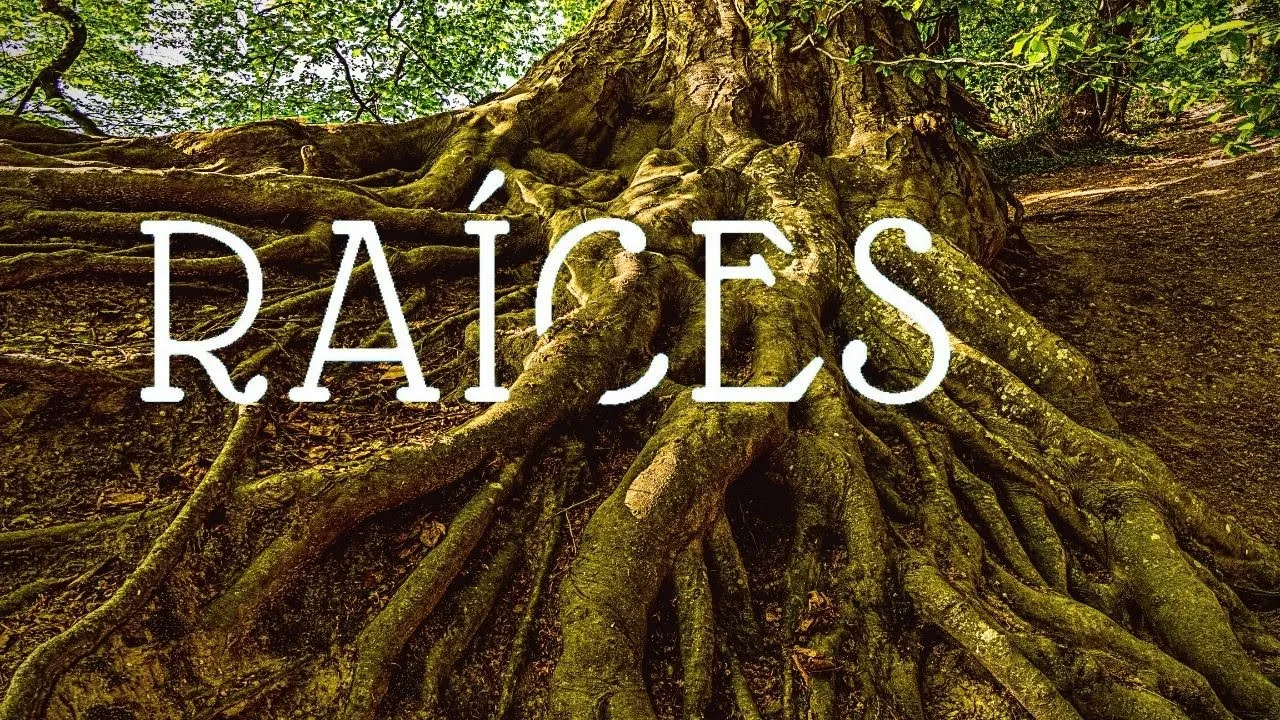 RAICES: la vida bajo el suelo. RIZOSFERA