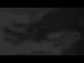 risa - babasónicos (slowed)