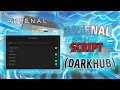 DarkHub Script Showcase