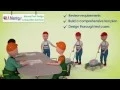 QA Mentor Manual Test Design and Execution Services