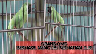 Download CUCAK HIJAU Full JAMTROK // GRANDONG MAIN DI TIKET UTAMA - MUSUHE BURUNG RATUSAN JUTA MP3