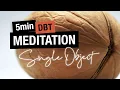 Meditation to improve your FOCUS Single Object Mindfulness DBT Skills