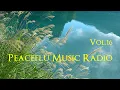 Peaceful Music Radio Vol.16 | 2025.3.2 演奏会のピアノ即興演奏 / Yuusuke