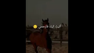 سأسأل ما الذي قدمت في دنياي ينجيني Short  سأسأل ما الذي قدمت في دنياي ينجيني Short
