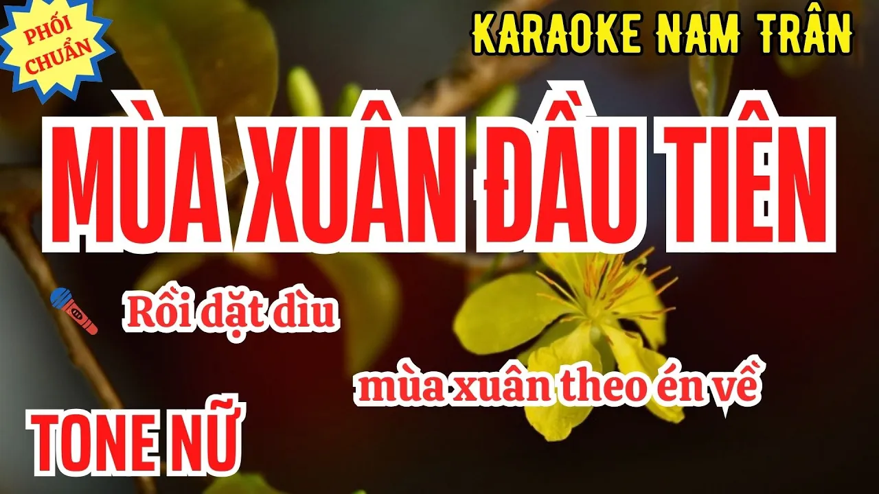 Karaoke Mùa Xuân Đầu Tiên (Văn Cao) Tone Nữ | Nam Trân