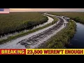 23 500 Pythons Removed From The Everglades WEREN T ENOUGH - What Happened Next Shocked Scientists