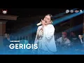 Download Lagu LARASATI - GERIGIS (LIVE ARMOS X KUWUNG WETAN) BALADA DEWA REBECCA LIGHTING