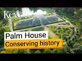 Restoring the Palm House at Kew Gardens Part one - Decanting the plants
