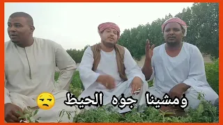 النور اللي جاي من فتحه أضيق من خرم الخيط الفهد الاسمر 