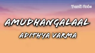 amudhangalaal song adithya varma lyrical song