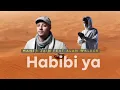 Download Lagu HABIBI || MAHER ZAIN X ALAN WALKER [Lyric]