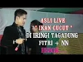 Download Lagu LAGU TAPSEL, IKAN CUCUT, ASLI LIVE FITRI , BIKIN WAW....DI DESA TINGKOK KAB. ROKAN HULU