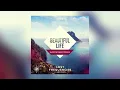 Lost Frequencies - Beautiful Life feat. Sandro Cavazza (Gareth Emery Remix) [Cover Art]
