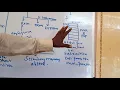 Micro controller and embedded systems module 3