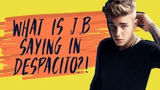 Do Americans Know What Despacito Means The Zoo