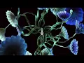 Mind Against - Dreamcast