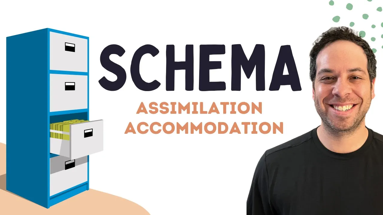 How Your Brain Organizes the World: Schemas, Assimilation & Accommodation Explained
