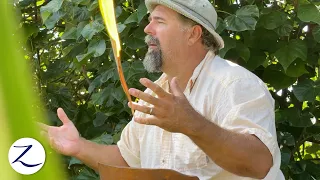 Should You Even Set Sail Right Now?? Traveling During COVID19