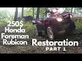 2006 Honda Foreman Rubicon Restoration