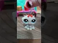 Meet the new cats