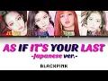 Download Lagu BLACKPINK-AS IF IT'S YOUR LAST(Japanese ver.)【和訳/Lyrics/Han/Eng】