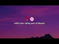 Morgan Wallen - Cowgirls (Feat. ERNEST) (Lyrics) 🤠🔥 | Country Music | Lyrics Video