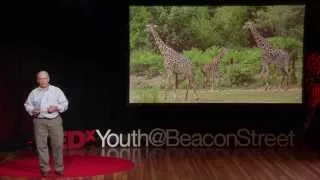Saving Animals Saving The Future John Linehan TEDxYouth BeaconStreet 