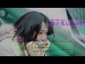 胆小鬼 한글 가사/번역