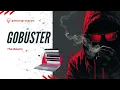 Gobuster The Basics Cybersecurity 101 Learning Path - TryHackMe