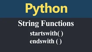 startswith and endswith String Functions in Python Hindi