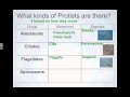 SCI 7 - Protist Intro