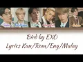 Download Lagu Bird by EXO Colour Coded Lyrics Kan/Rom/Eng/Malay