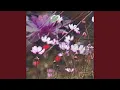 Download Lagu you're a flower