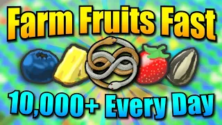 How to Macro 10 000 Fruits Every Day In Bee swarm simulator BEST MACRO SETTINGS