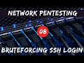 Network Pentesting - 08 Bruteforcing SSH Login