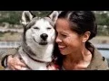 WholeHearted Petco