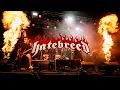 Download Lagu Hatebreed (US) - Live at Basinfirefest 2025 | Spálené Poříčí, Czech Republic (26.06.2025)