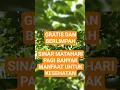 Download Lagu GRATIS DAN BERLIMPAH. SINAR MATAHARI PAGI SEHAT DAN BANYAK MANFAAT #edukasikesehatan