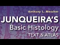 CHAPTER 6 - Adipose Tissue White and Brown Fat Histology