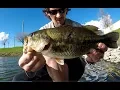 Hobby Lobby Fishing