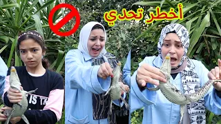 اخر شخص يترك التمساح هيكسب ال20 الف جنية والعقاب في اللمون 